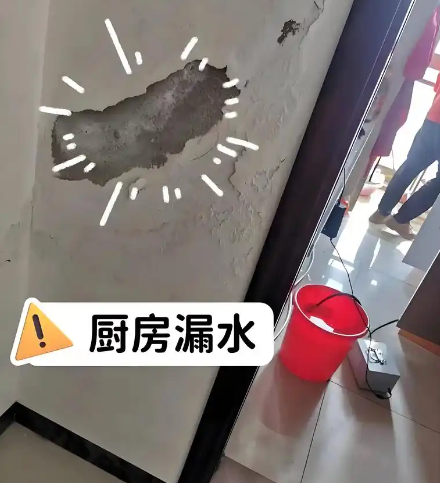 自来水管探漏
